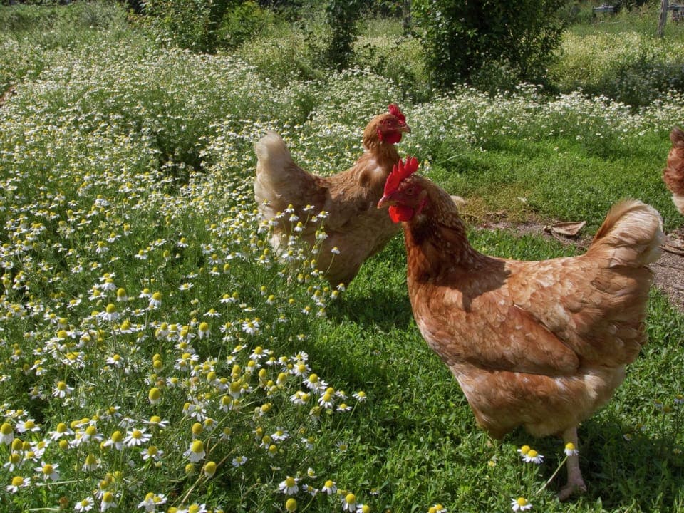 House | Interior detail