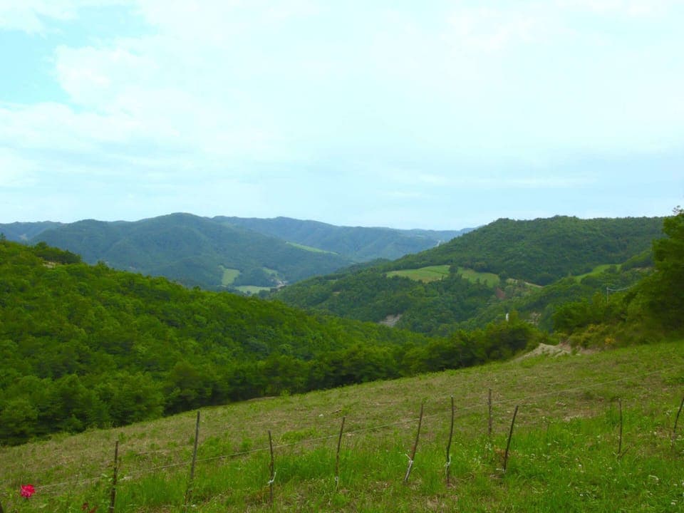 House | View from property