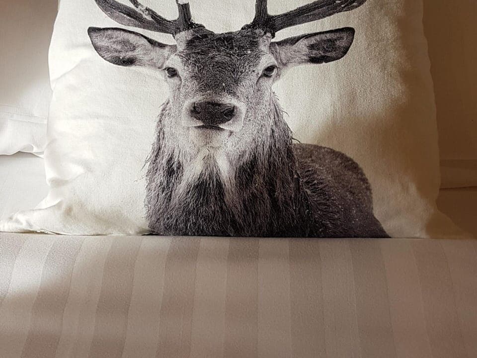 Cottage | 2 bedrooms, individually furnished, bed sheets