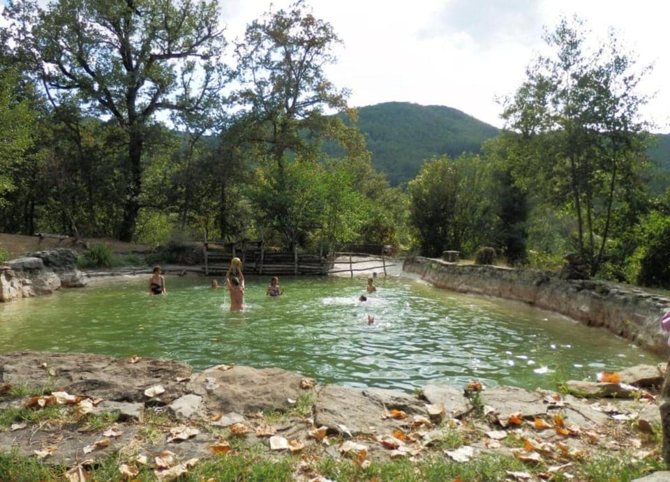 House | Pool | Outdoor pool