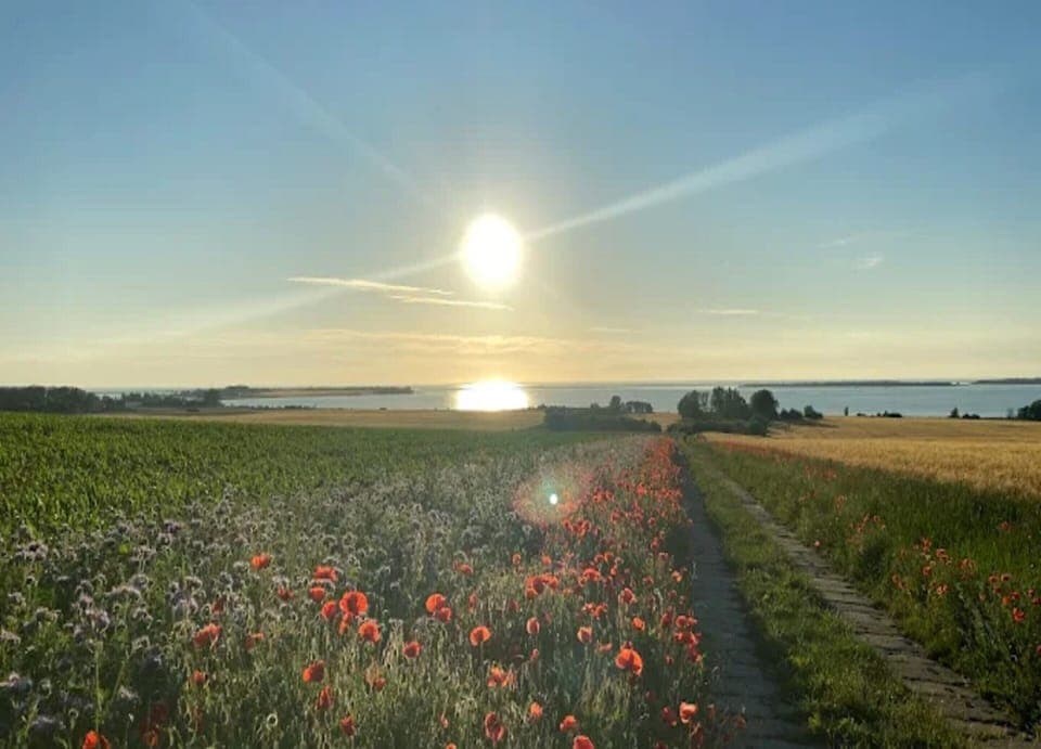 Bungalow | View from property