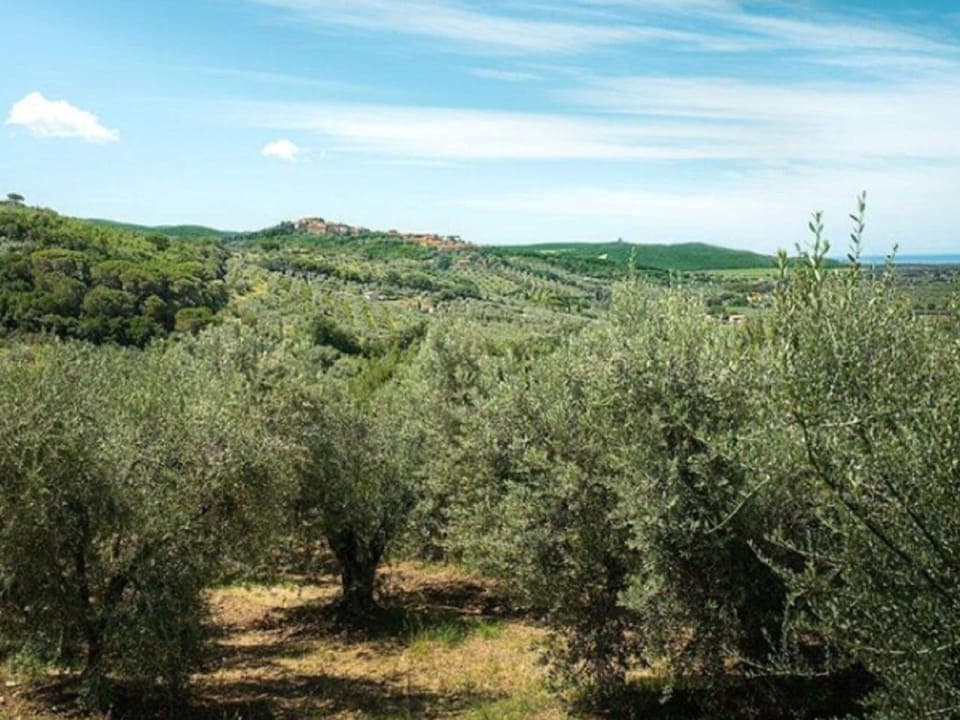 House | View from property