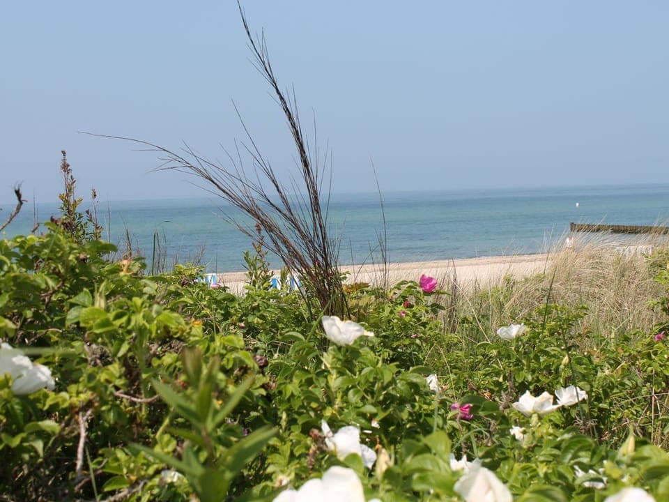 Apartment | View from property