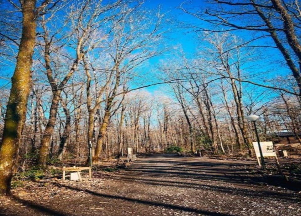 House | View from property