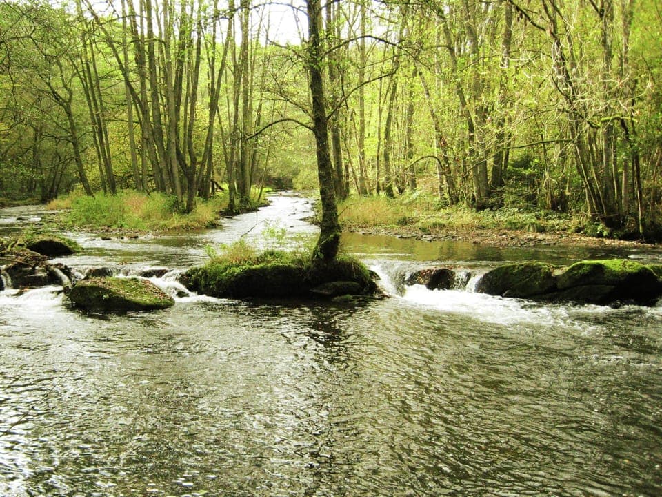 House | View from property