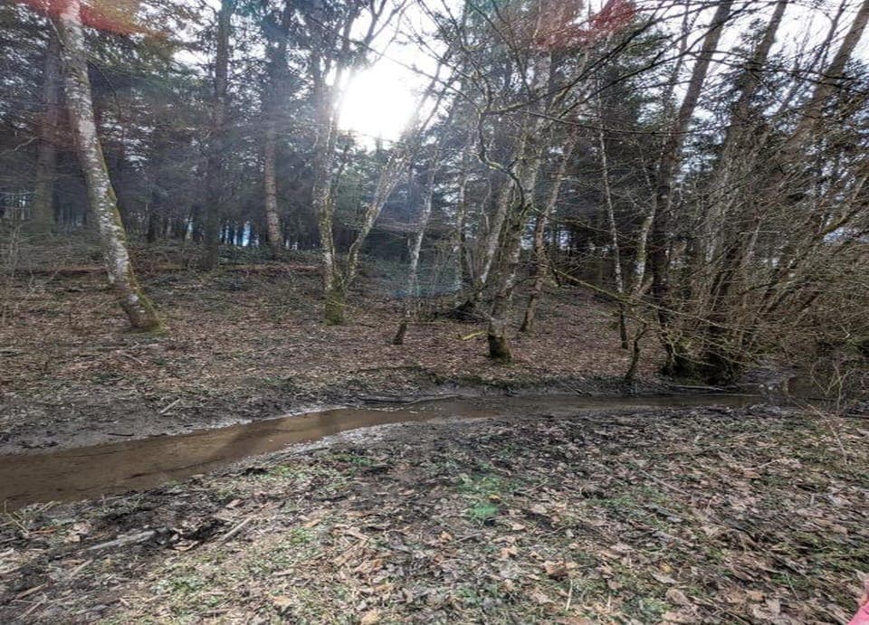 Bungalow | View from property