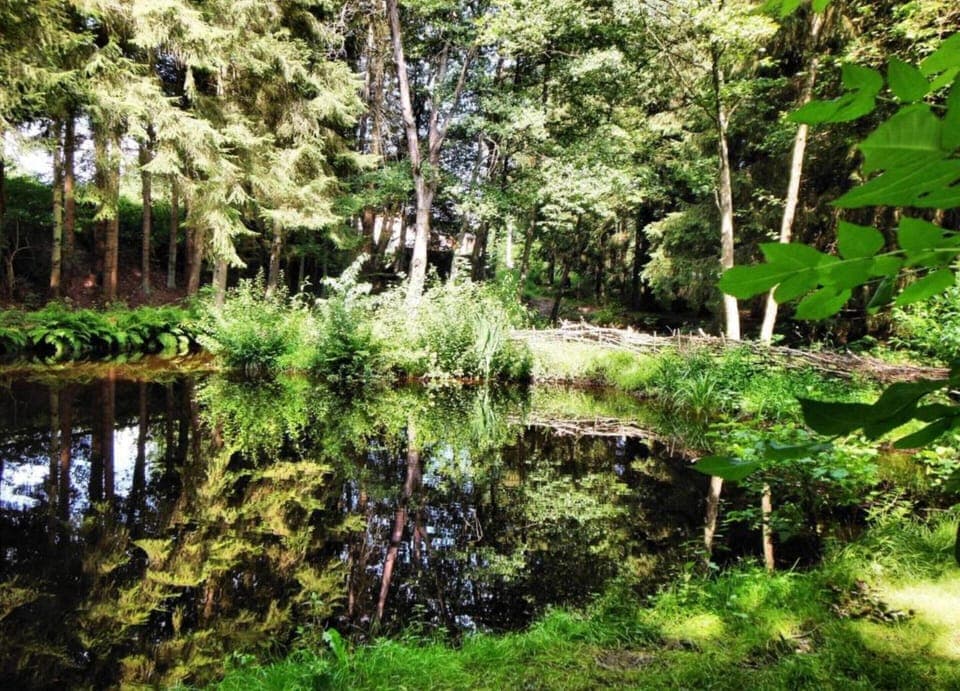 House | View from property