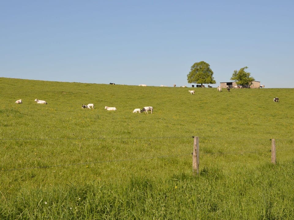 House | View from property