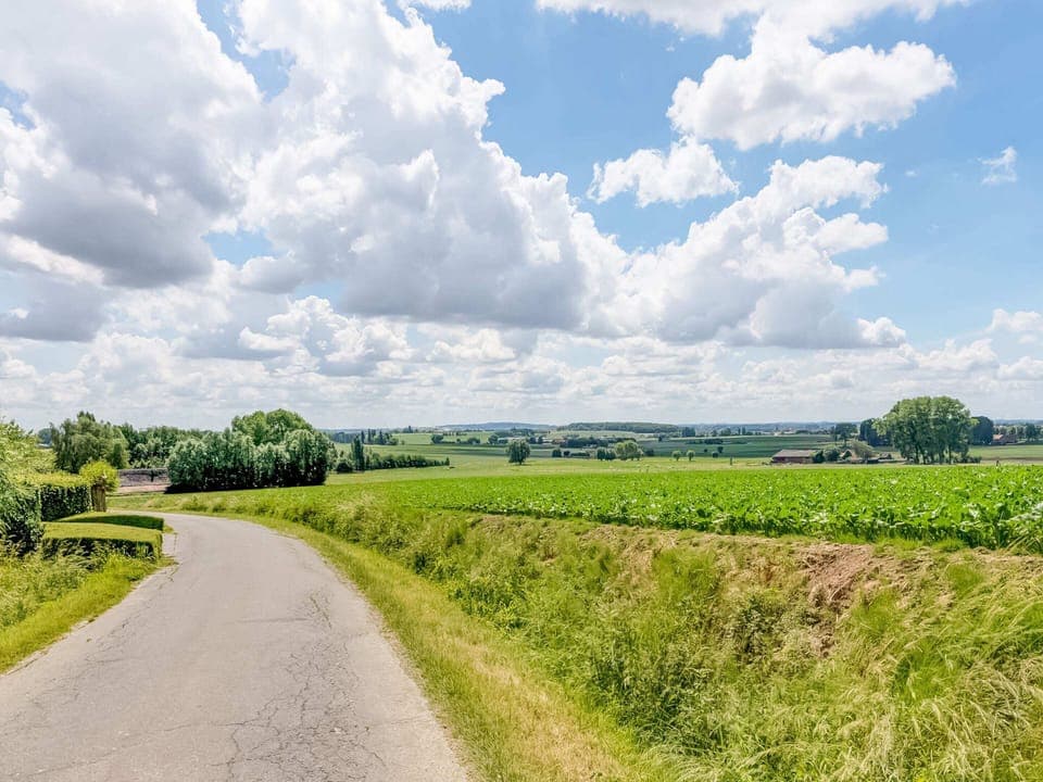 House | View from property