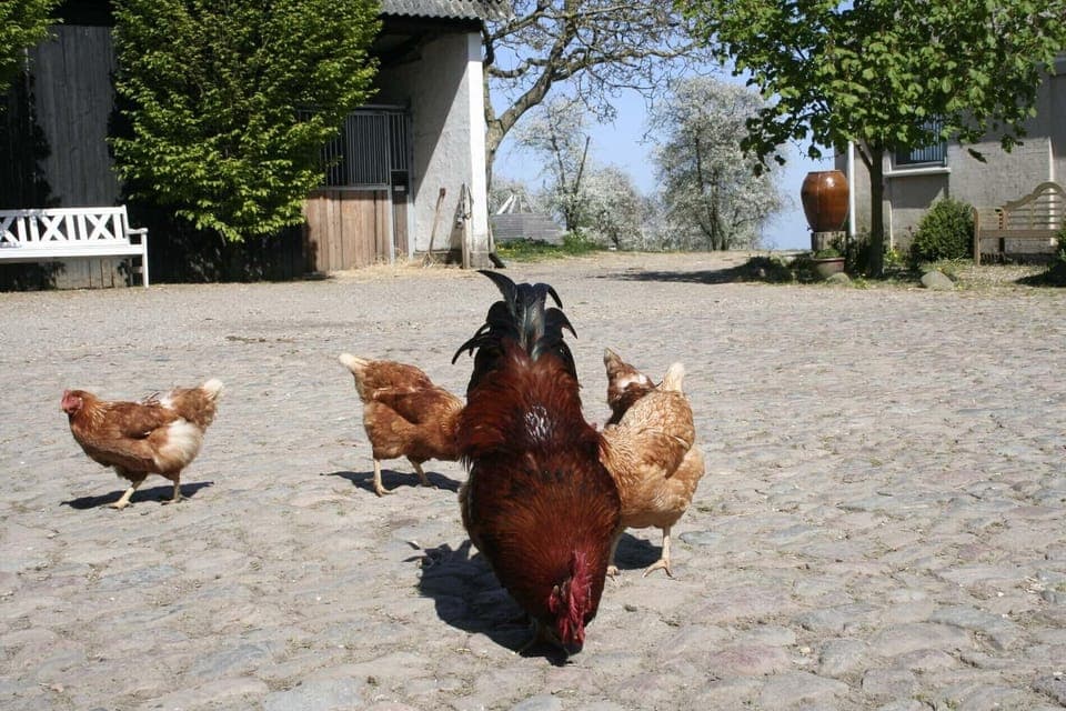 Children's activities