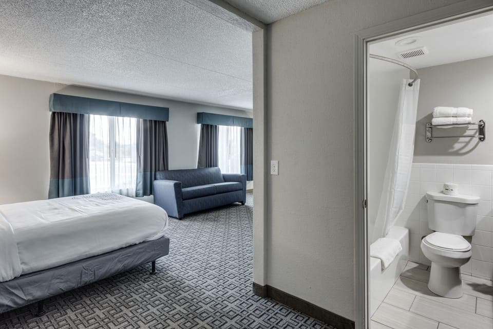 Desk, iron/ironing board, free WiFi, bed sheets