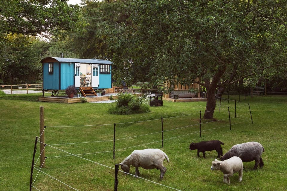 Deluxe Room, Ensuite (The Wriggly Tin) | Exterior