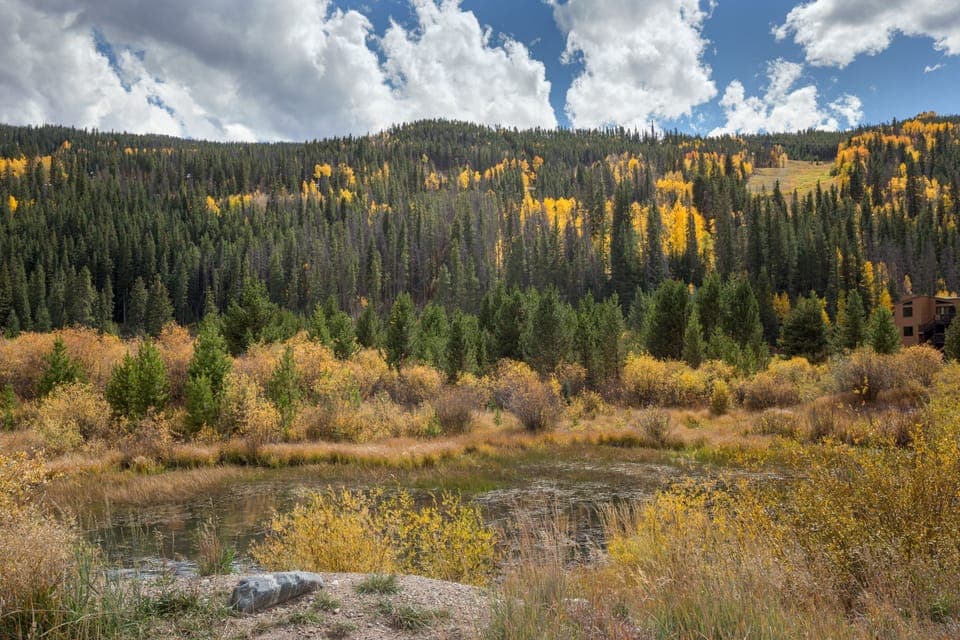 Townhome, 2 Bedrooms | Property grounds