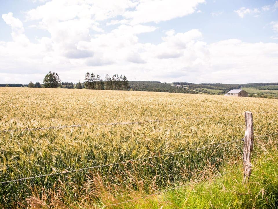 House | View from property