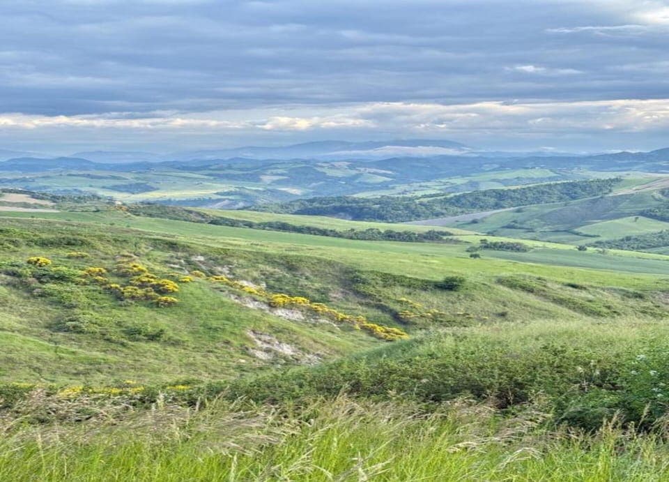 Apartment | View from property