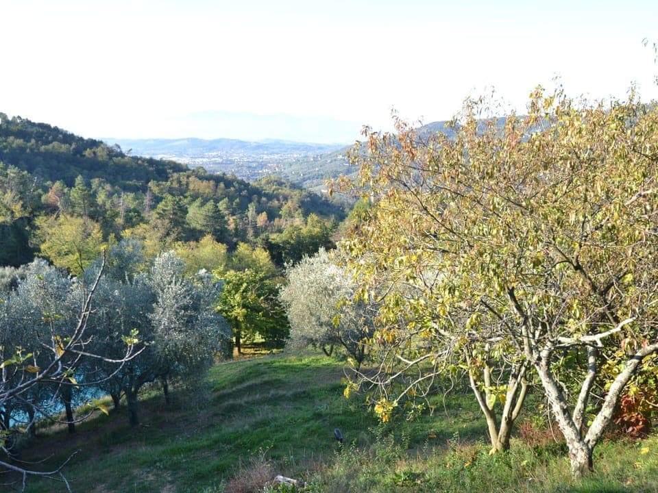 House | View from property