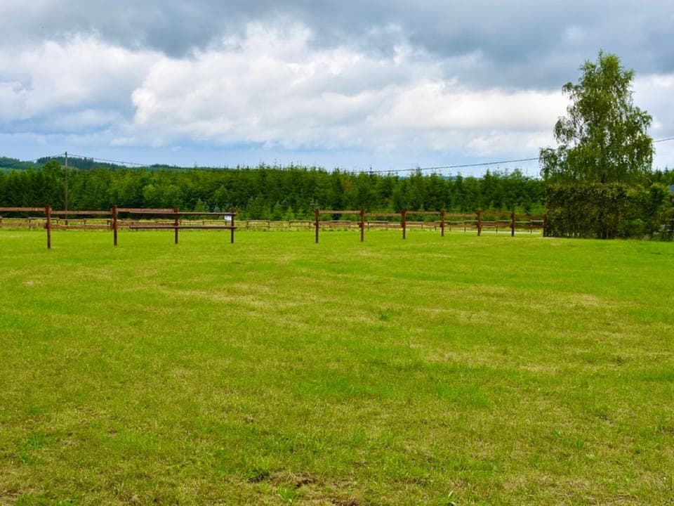 House | View from property