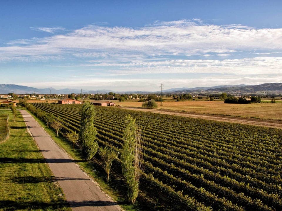 House | View from property