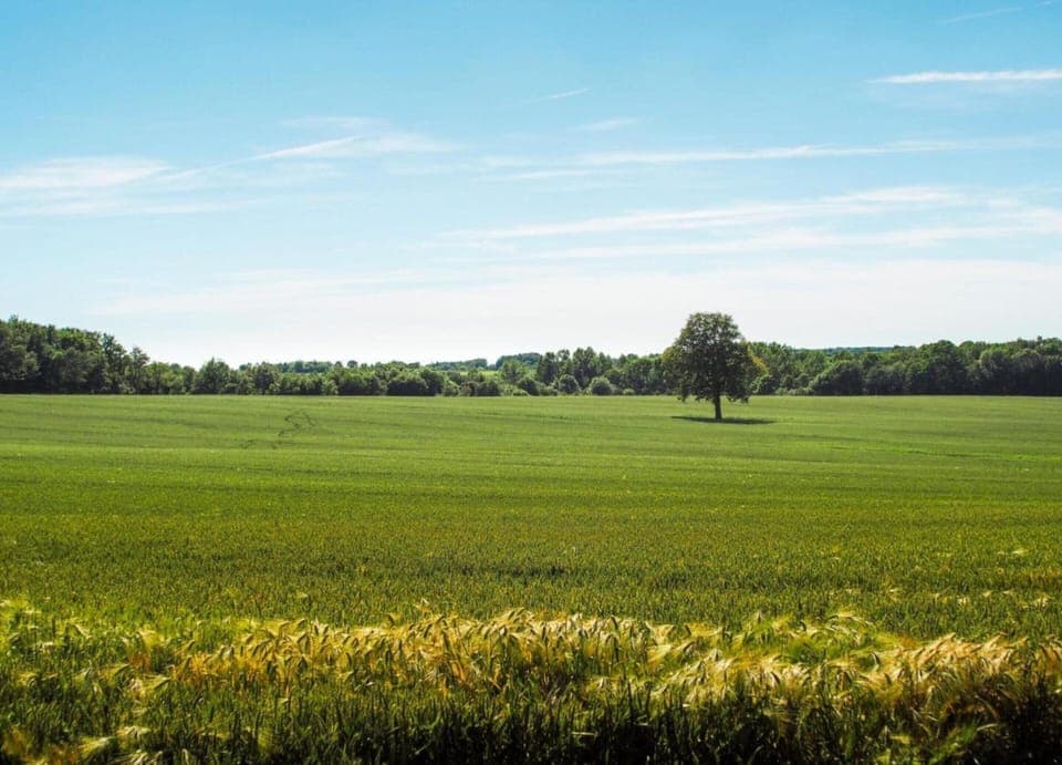 House | View from property