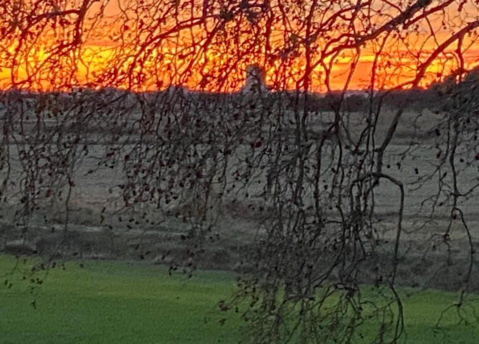 House | View from property