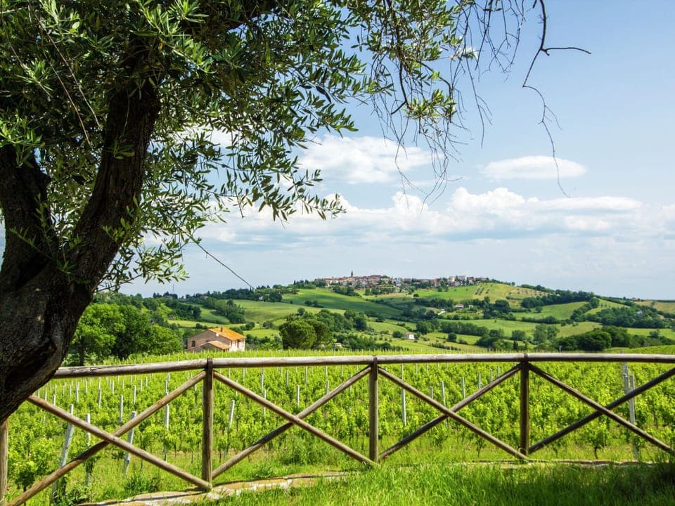 Villa | View from property