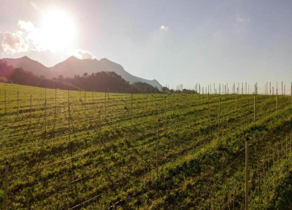 Apartment | View from property