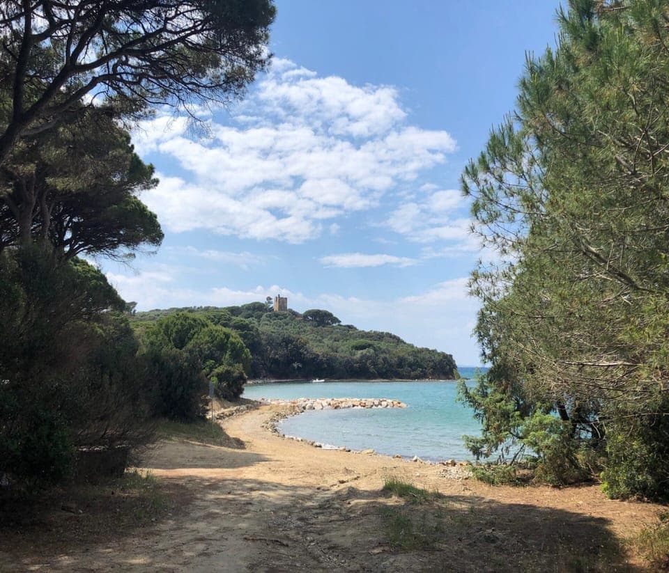 House | View from property