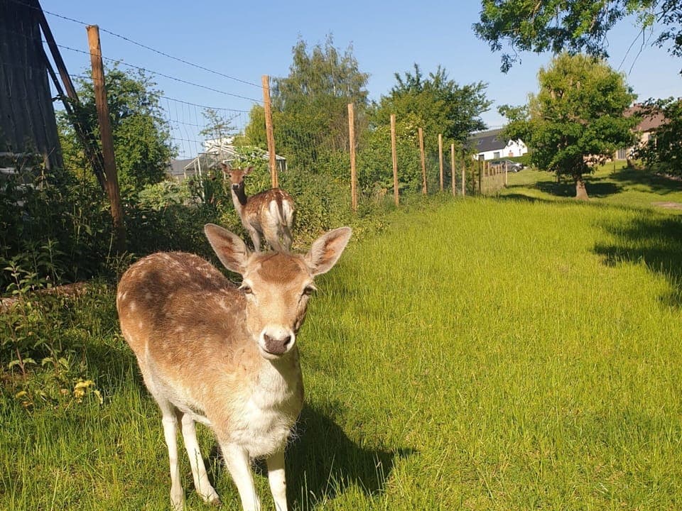 Cottage | View from property