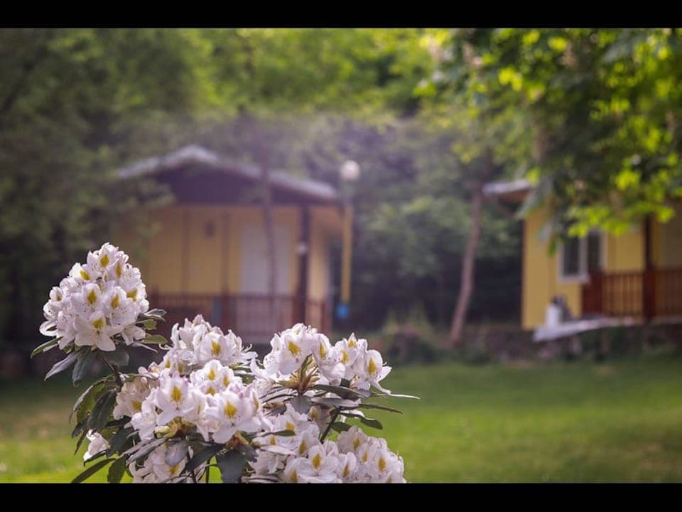 Bungalow, 1 Bedroom, Smoking, Balcony | Terrace/patio