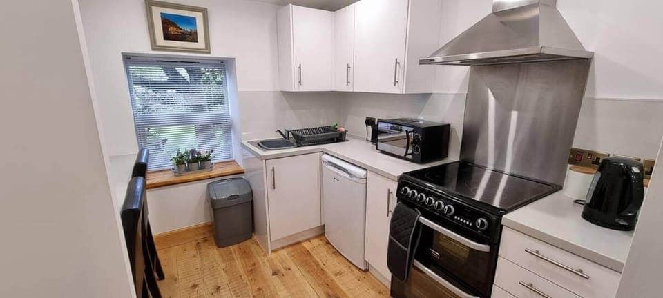 Apartment | Private kitchen | Fridge, microwave, oven, stovetop