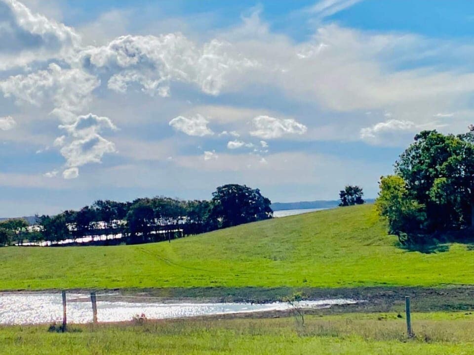 House | Miscellaneous