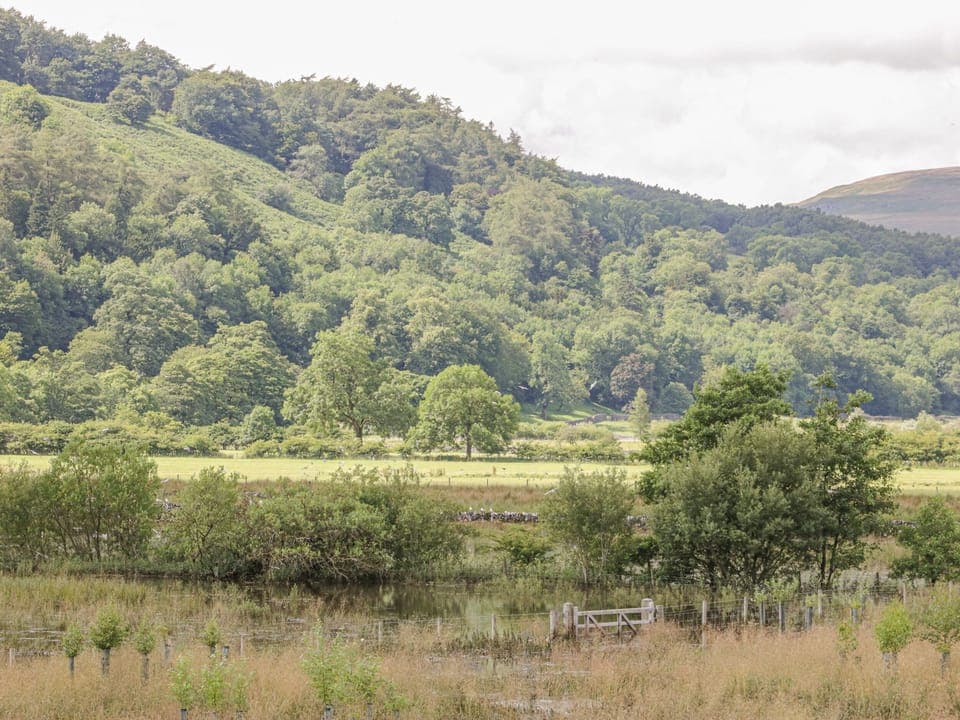 Cottage | Property grounds