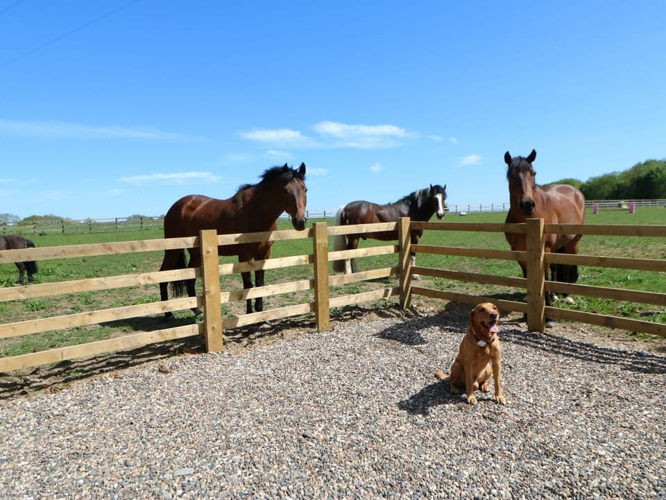 Cottage | Children's area