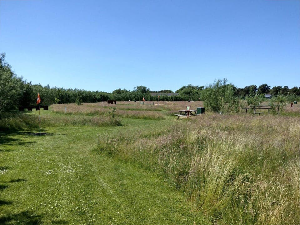 House | Miscellaneous