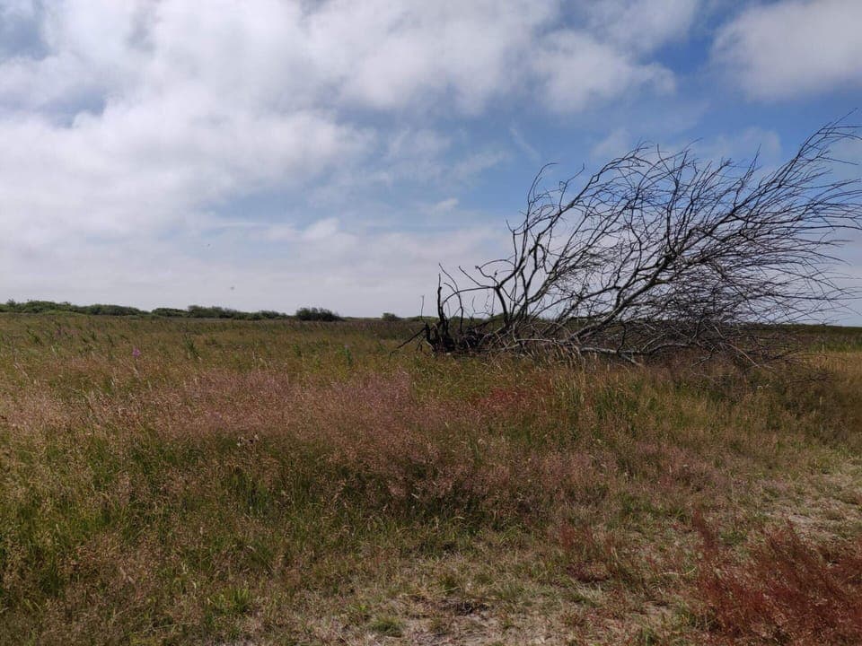 House | Miscellaneous