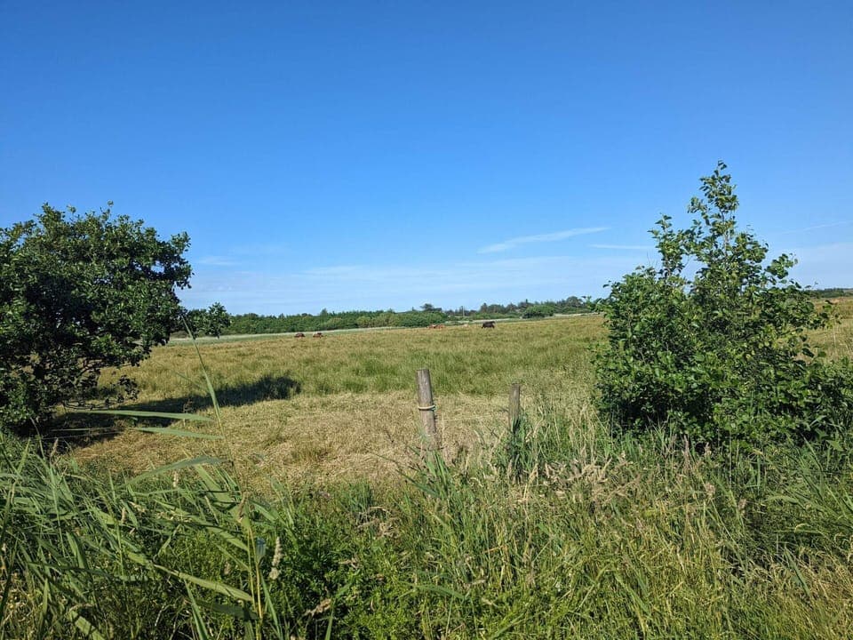 House | Miscellaneous