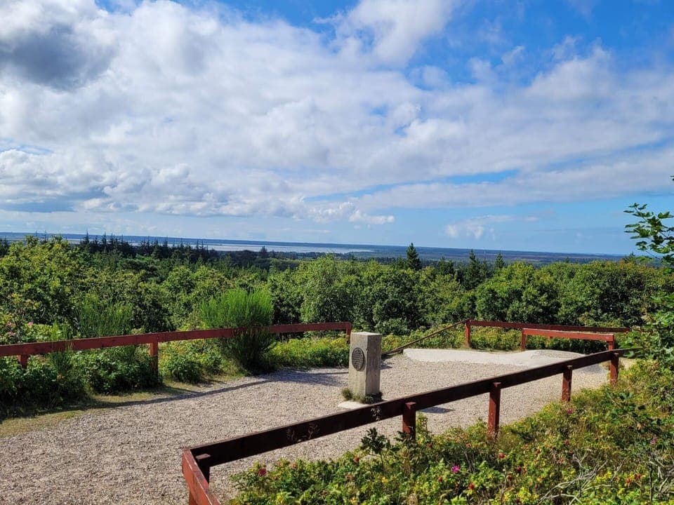 House | Property grounds