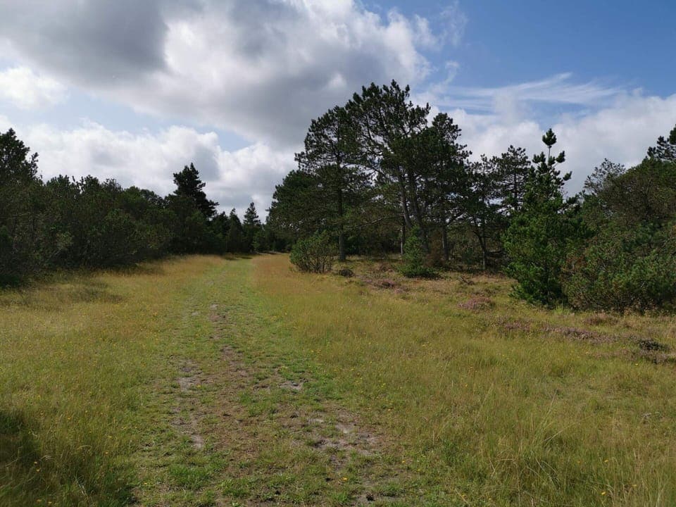 House | Miscellaneous