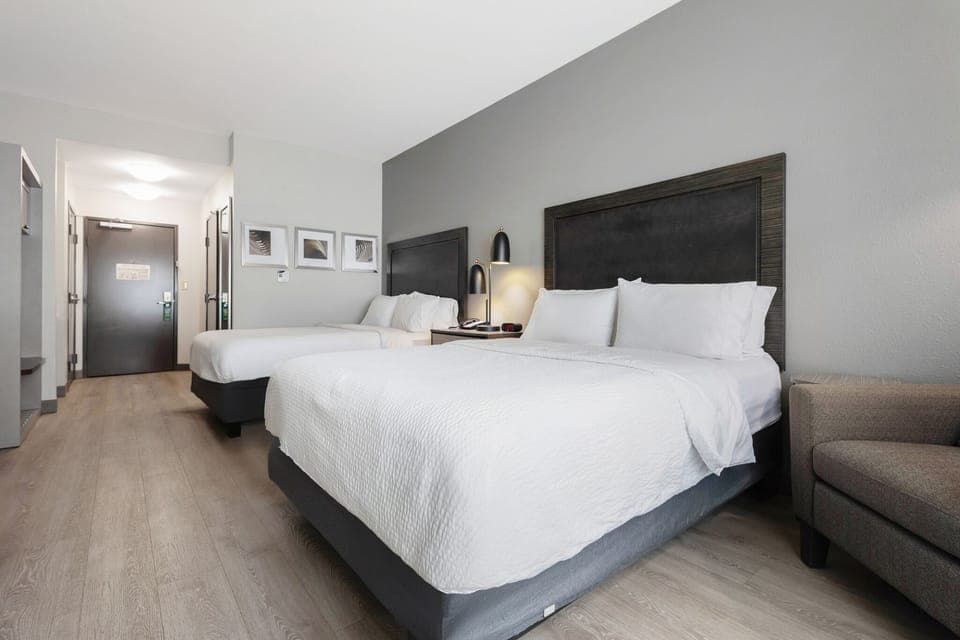 Premium bedding, desk, laptop workspace, blackout drapes