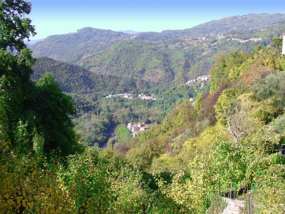 House | View from property