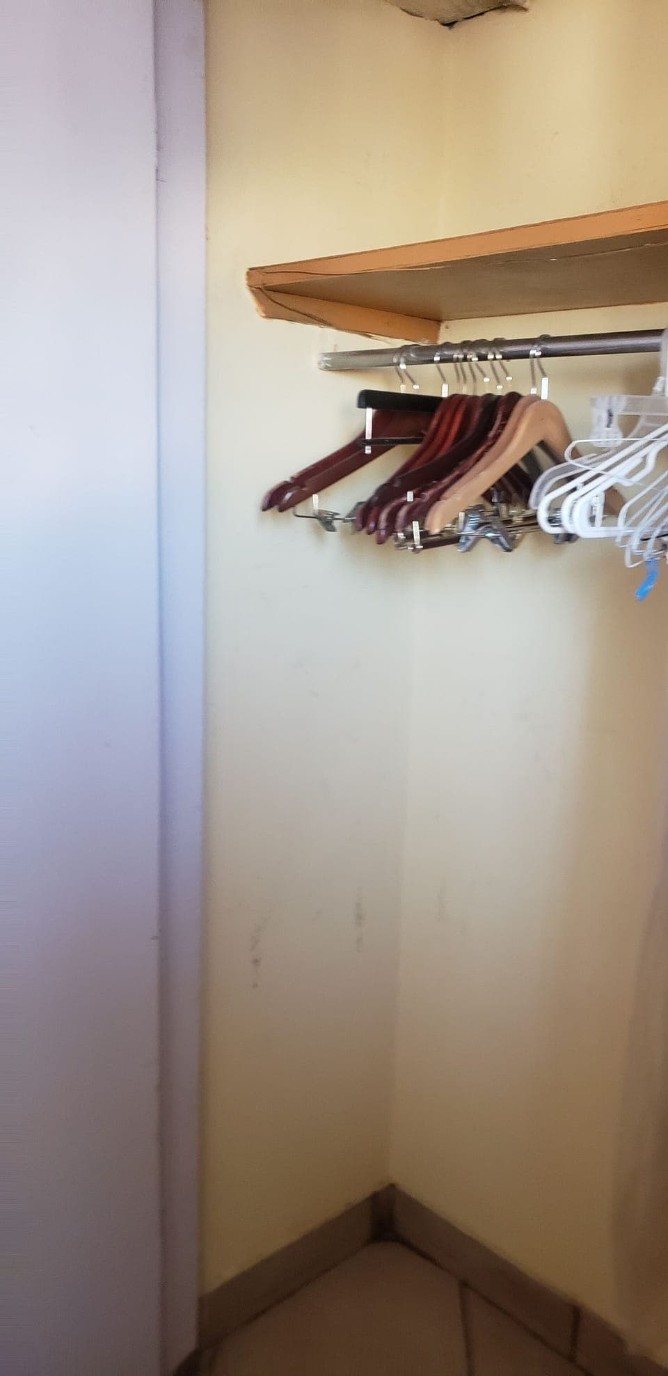 Basic Apartment | Bathroom sink