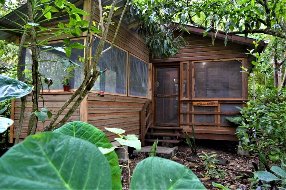 Cabin, 2 Bedrooms, Smoking, Patio | Exterior