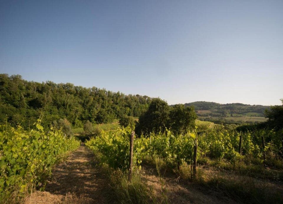 House | View from property