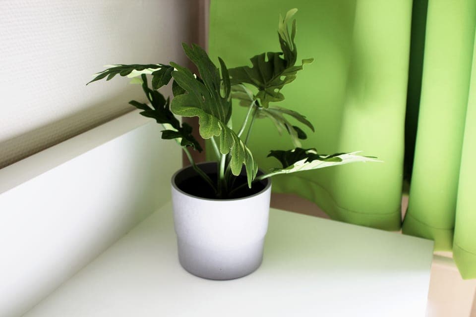 31-inch LCD TV with digital channels, TV