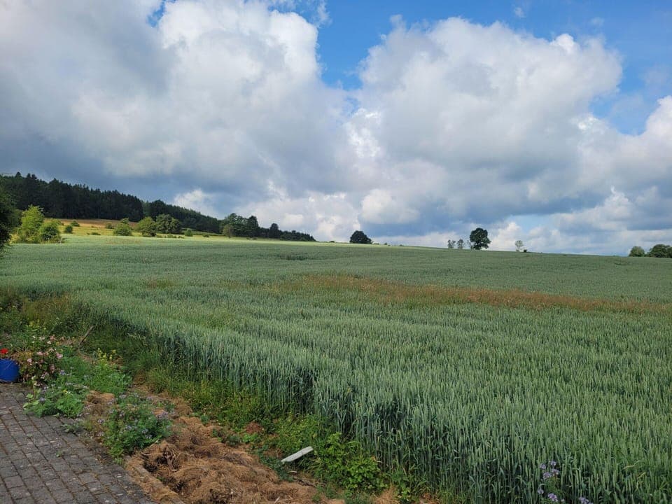 House | View from property