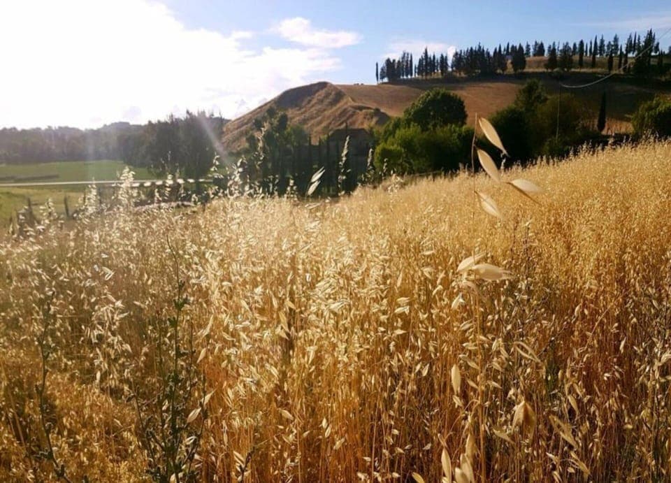 Apartment | View from property