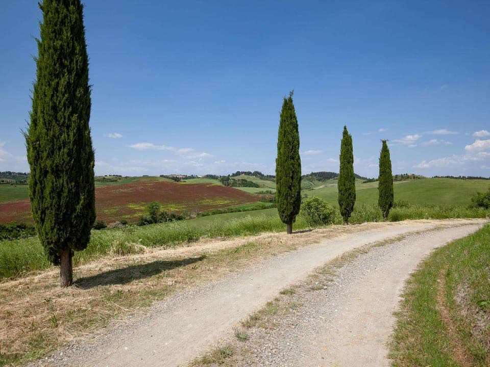 Apartment | View from property