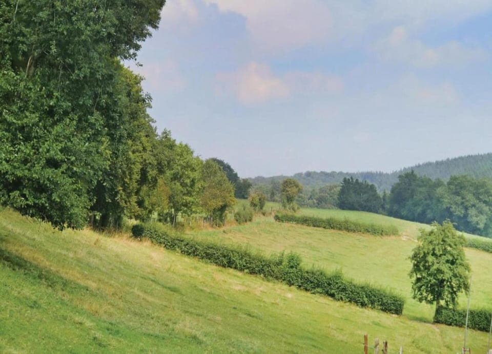 House | View from property