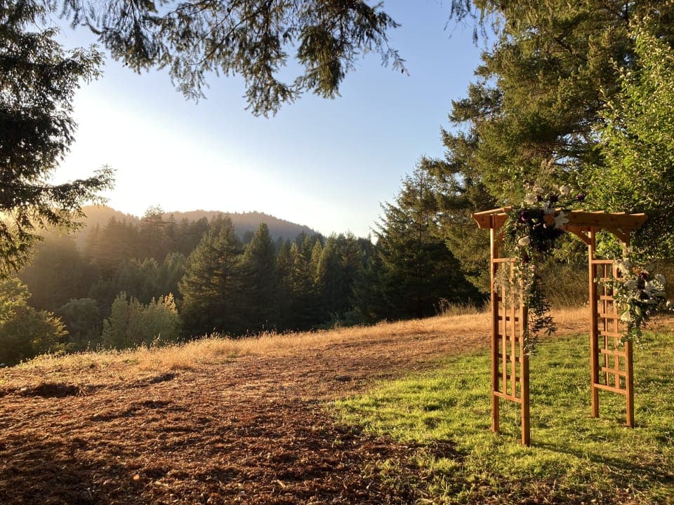 Outdoor wedding area