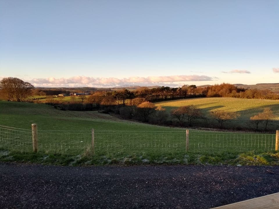 Cabin | Property grounds